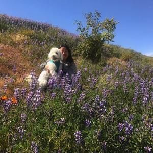 Meet your Posher, Phoebe